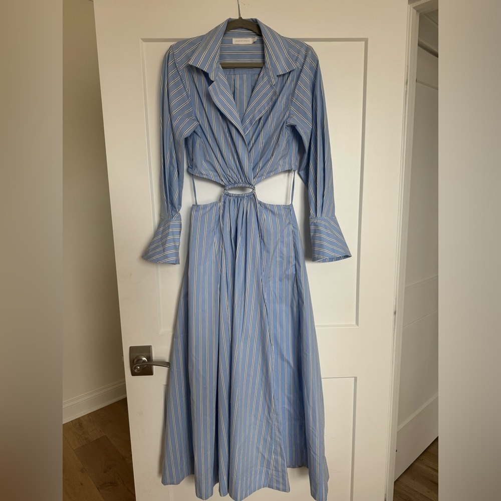 Alex Pleated Cut Out Dress- worn once